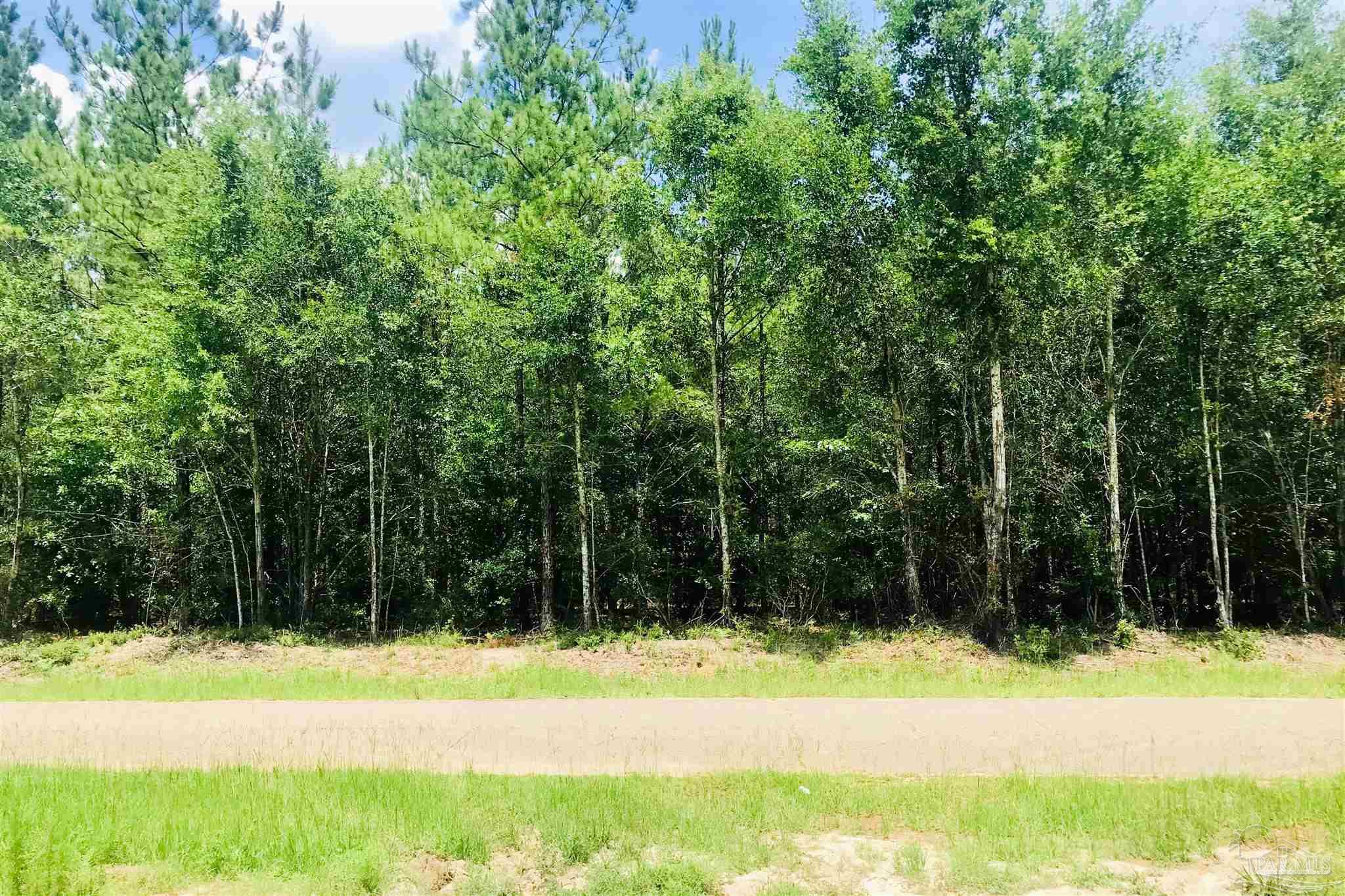 1842 Pineview Church Road Jay, FL 32570 - Photo 23 of 41