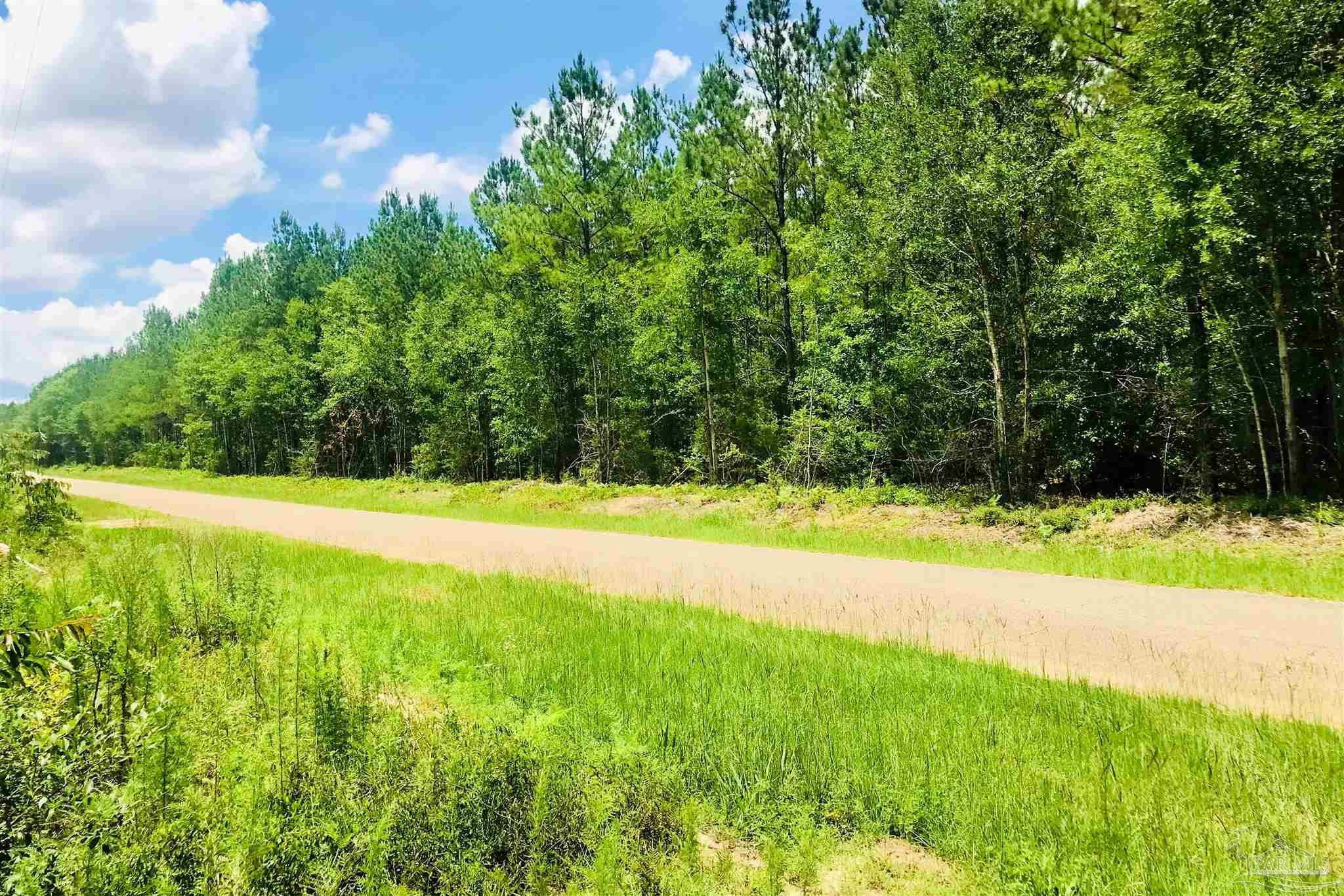 1842 Pineview Church Road Jay, FL 32570 - Photo 26 of 41