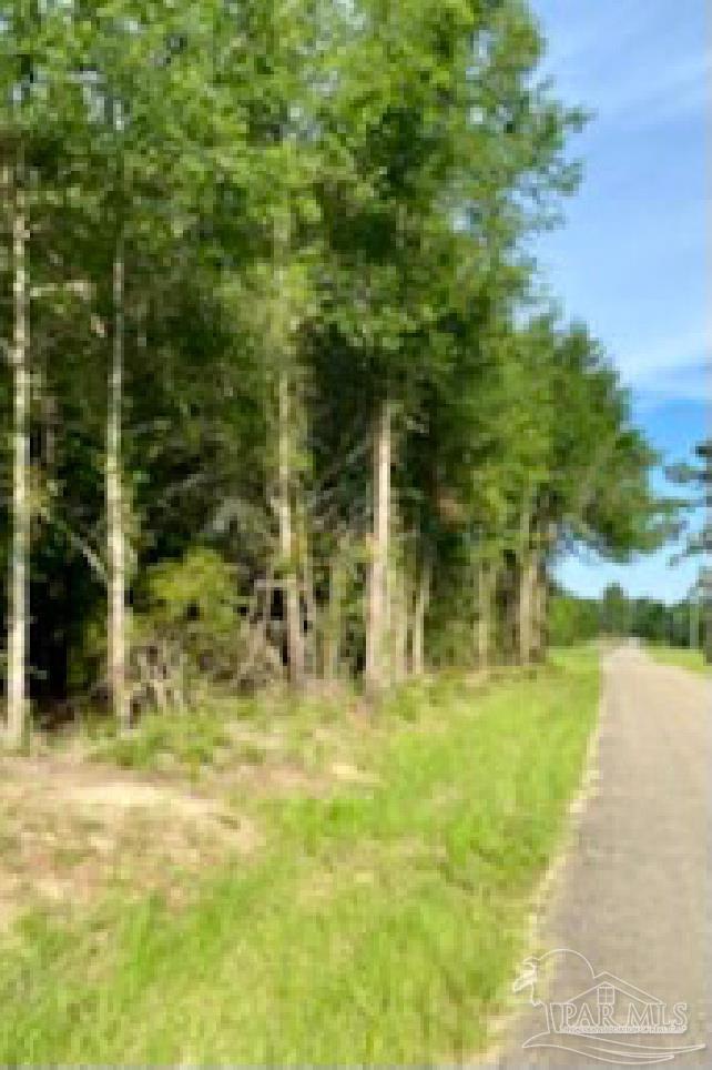 1842 Pineview Church Road Jay, FL 32570 - Photo 31 of 41