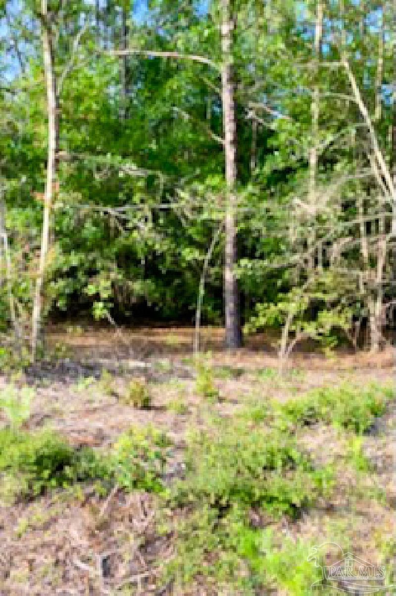 1842 Pineview Church Road Jay, FL 32570 - Photo 32 of 41
