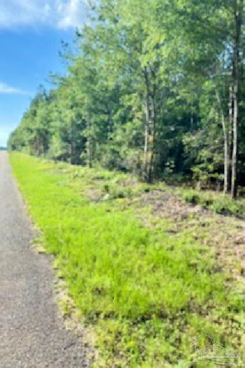1842 Pineview Church Road Jay, FL 32570 - Photo 33 of 41