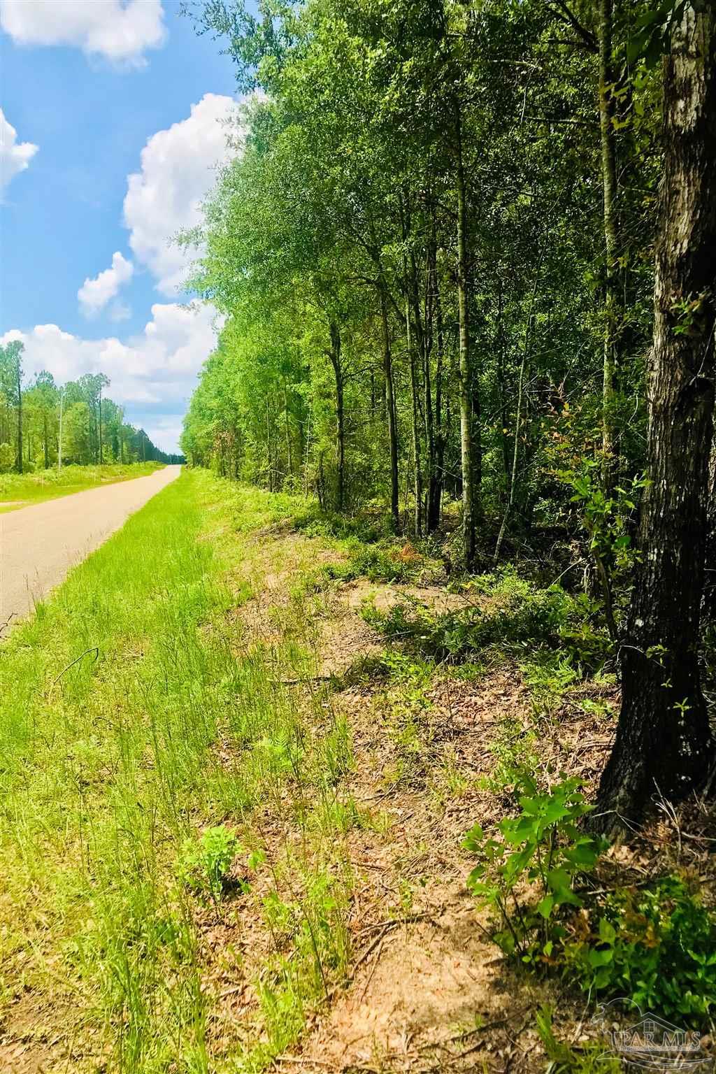 1842 Pineview Church Road Jay, FL 32570 - Photo 35 of 41