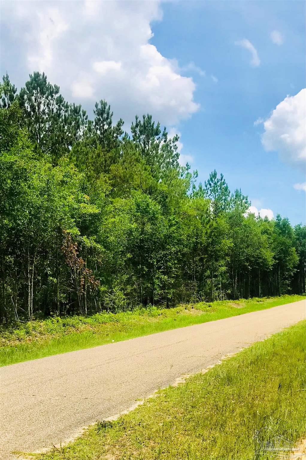 1842 Pineview Church Road Jay, FL 32570 - Photo 38 of 41