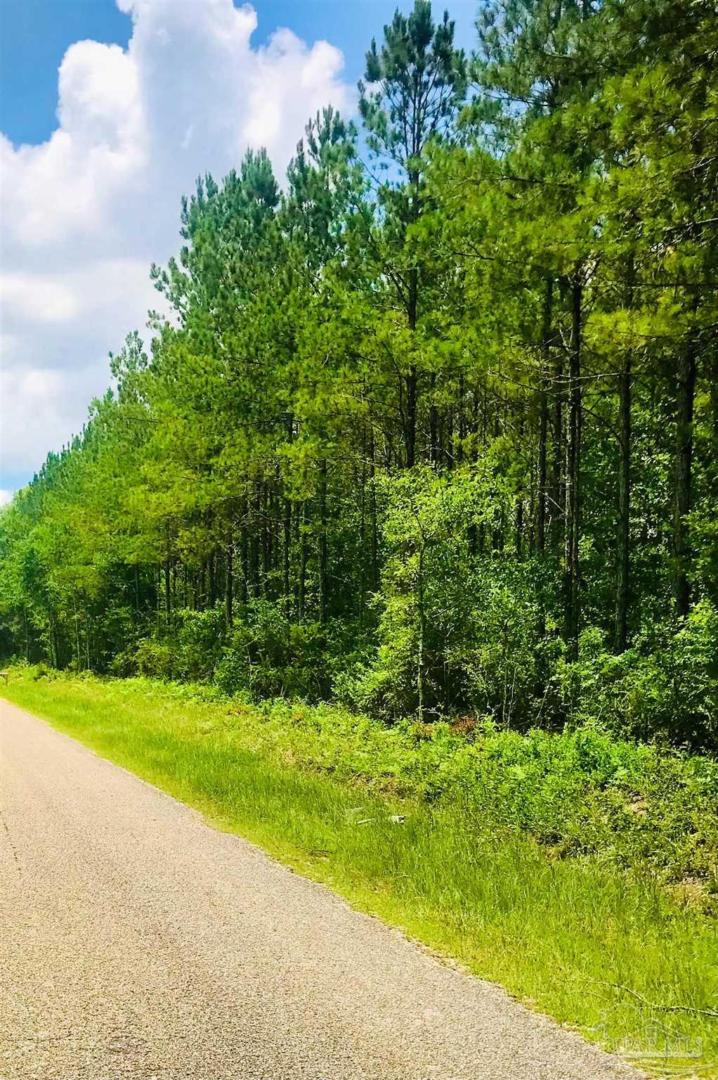 1842 Pineview Church Road Jay, FL 32570 - Photo 39 of 41