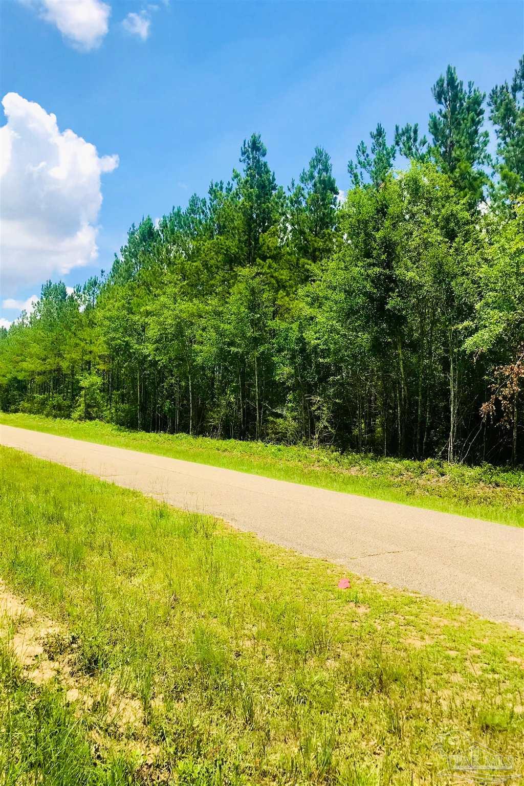 1842 Pineview Church Road Jay, FL 32570 - Photo 41 of 41