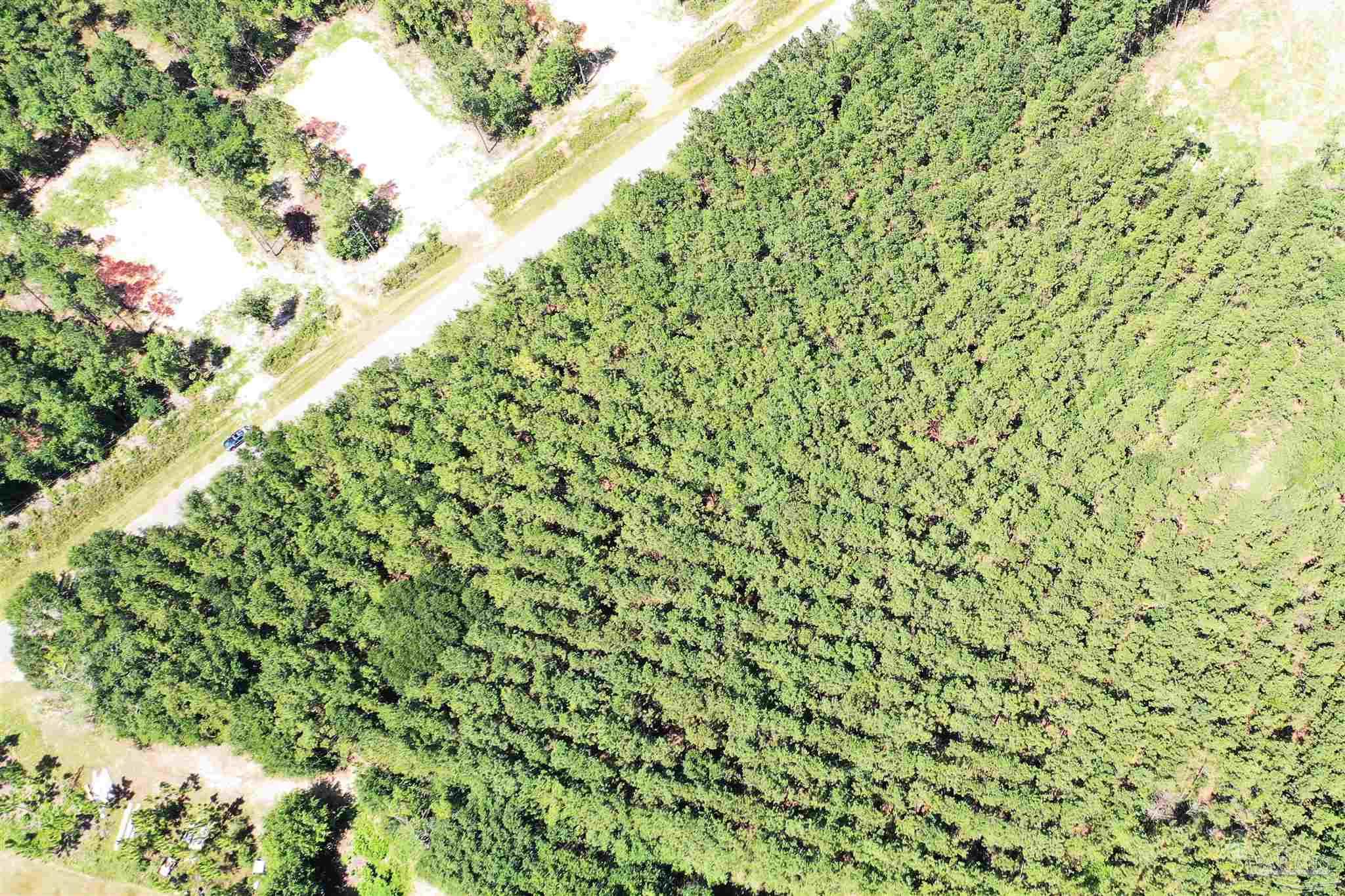 1842 Pineview Church Road Jay, FL 32570 - Photo 10 of 41