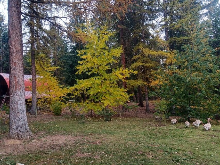 1509 McFarlane Road Colville, WA 99114 - Photo 45 of 50