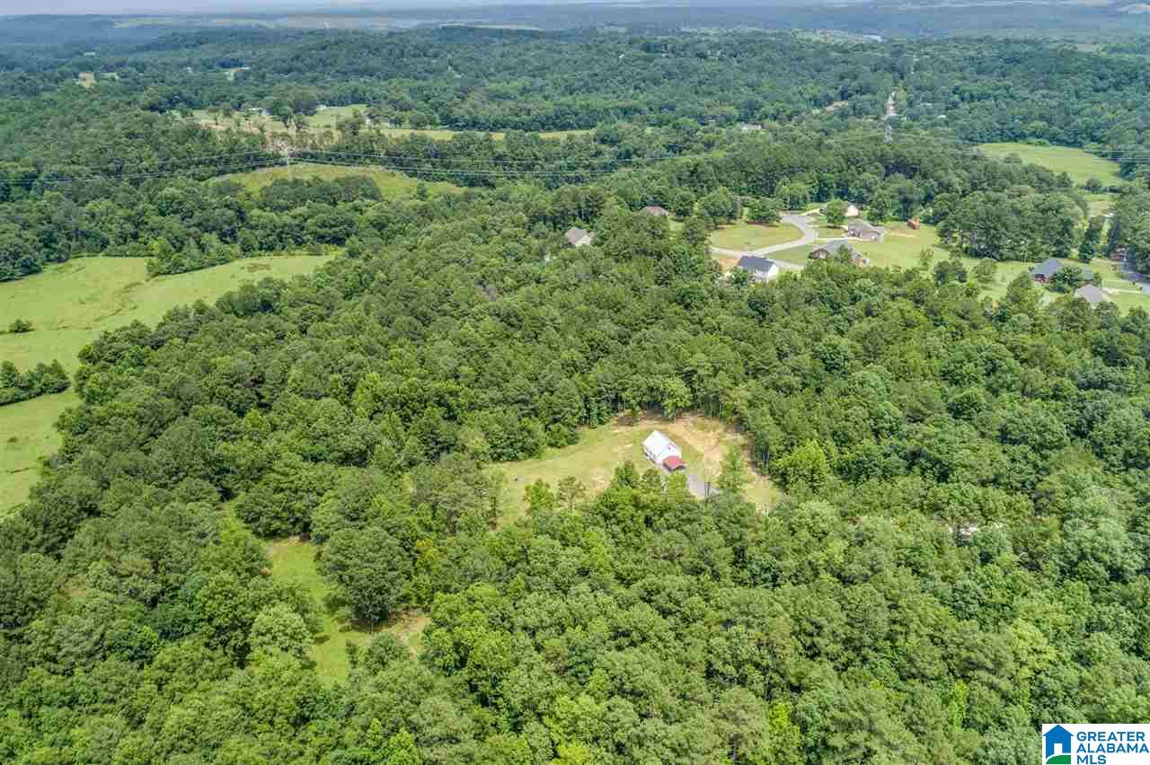 3851 Humber Road Dora, AL 35062 - Photo 8 of 35