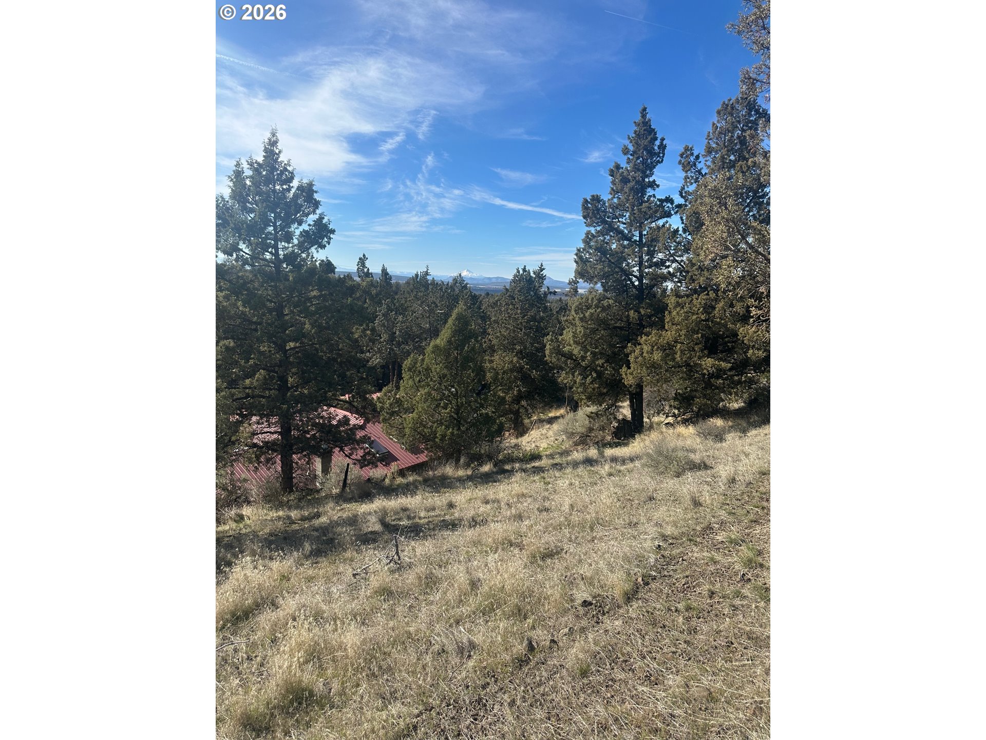 6792 Southeast Juniper Canyon Road Prineville, OR 97754 - Photo 22 of 44 a view of a outdoor space with trees