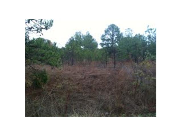 Tbd Foothill Road Bastrop, TX 78602 - Photo 1 of 1 a black and white photo of a forest