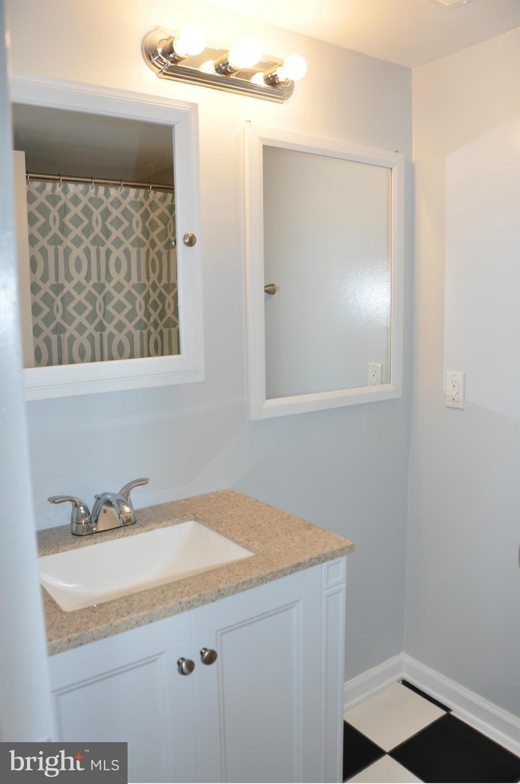 2030 Royal Fern Court, Unit 1A Reston, VA 20191 - Photo 16 of 17 Bath