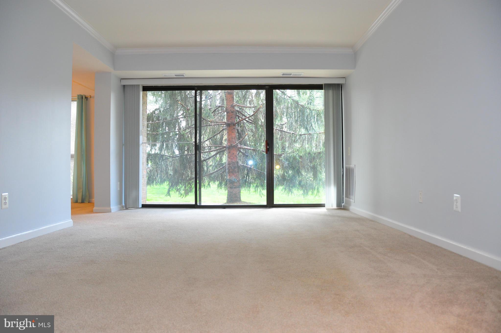 2030 Royal Fern Court, Unit 1A Reston, VA 20191 - Photo 3 of 17 Living Room