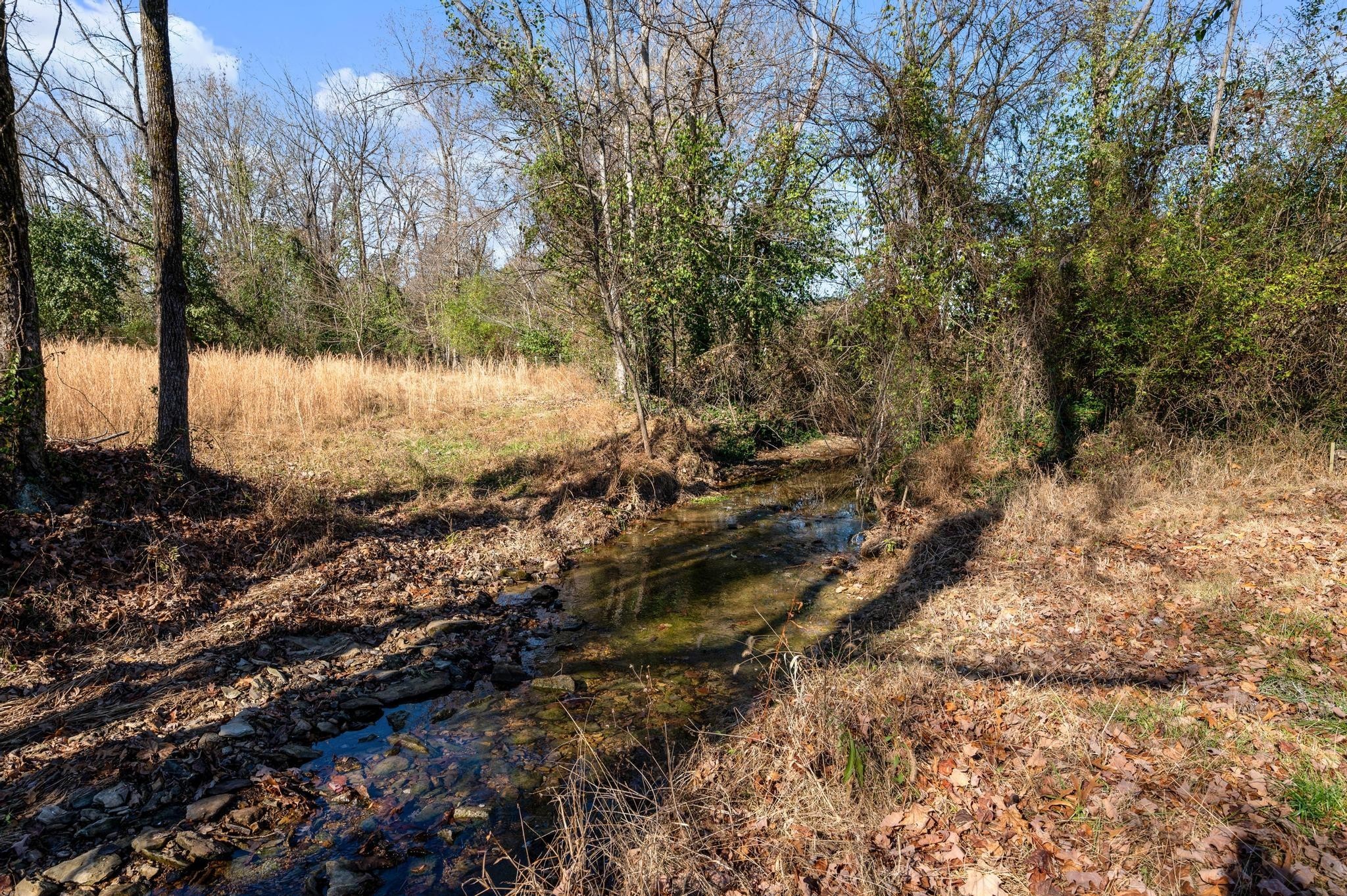 621 Halltown Road Portland, TN 37148 - Photo 23 of 23 a view of a yard with a tree