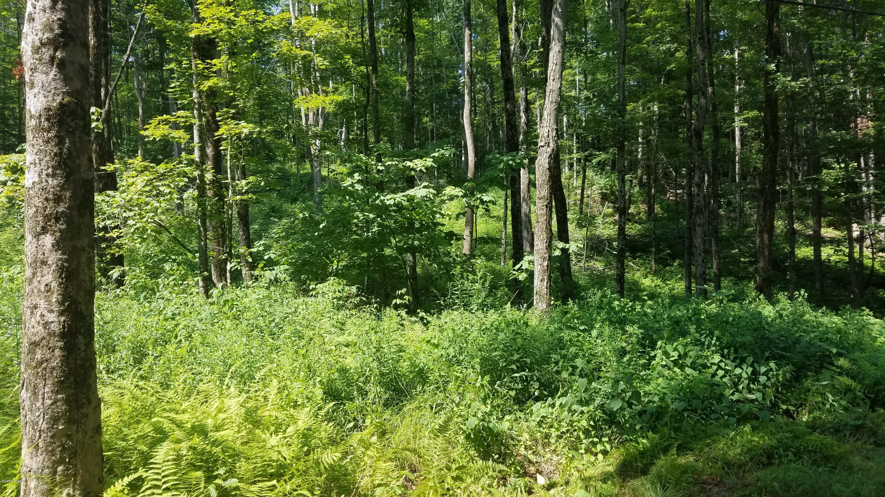 48 Wild Acres Road Lake Ariel, PA 18436 - Photo 7 of 9