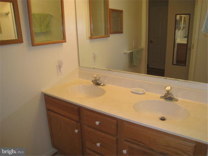 1306 Independence Way Newark, DE 19713 - Photo 17 of 25 Master Bathroom