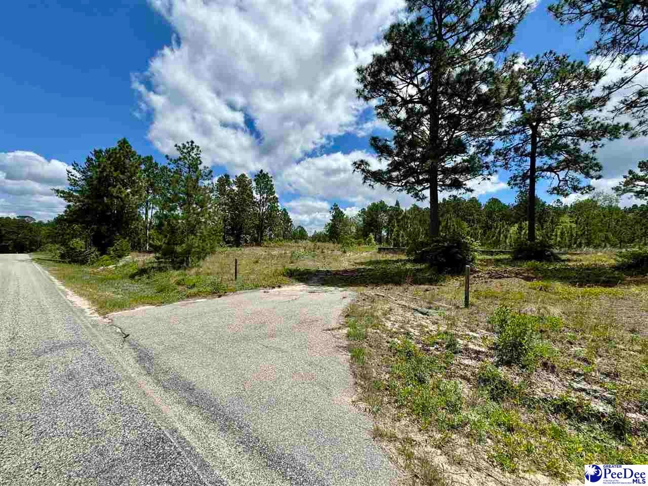 7.39-acres Evans Mill Road Chesterfield, SC 29709 - Photo 1 of 10 Gallery Image 1