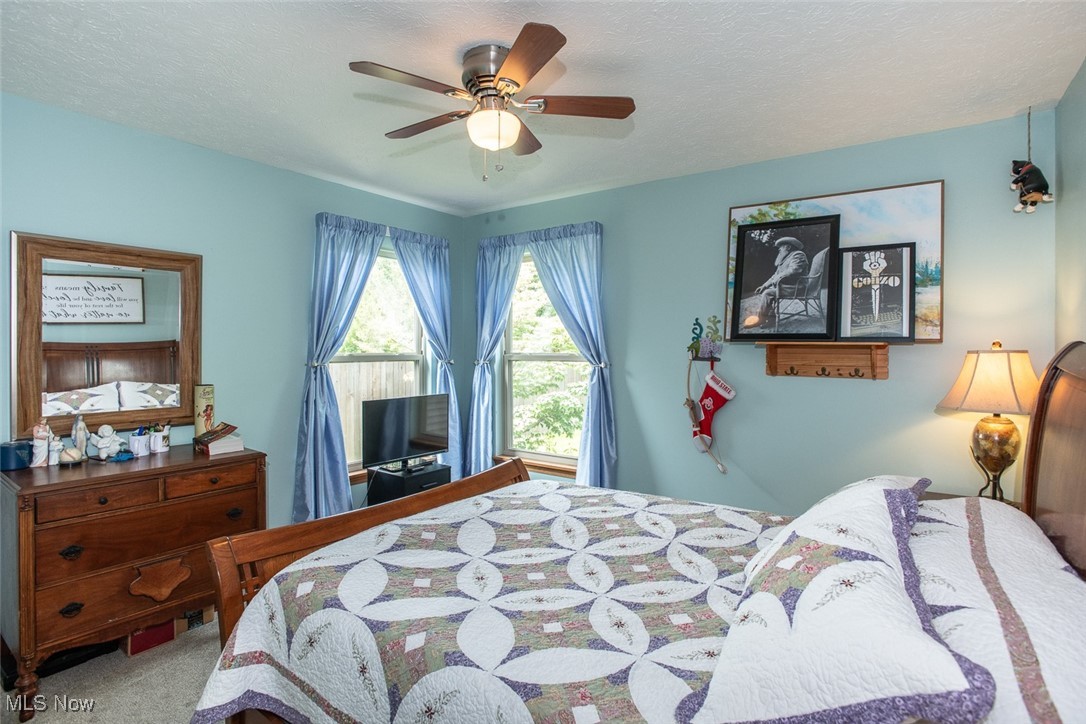 126 Timber Ridge Drive Elyria, OH 44035 - Photo 33 of 49 Carpeted bedroom featuring a ceiling fan