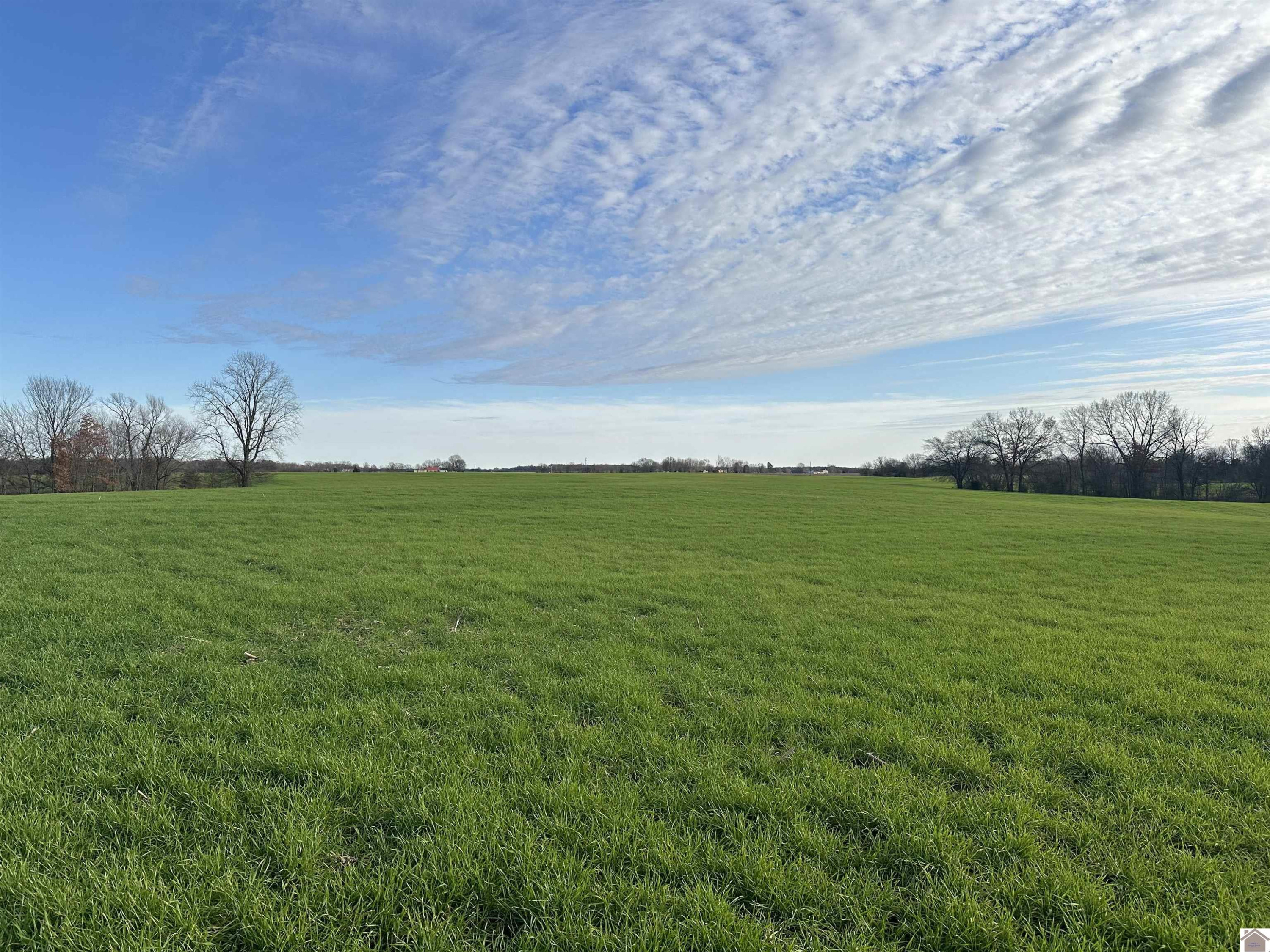 2 Elm Grove Road Almo, KY 42020 - Photo 4 of 8 Photo 5