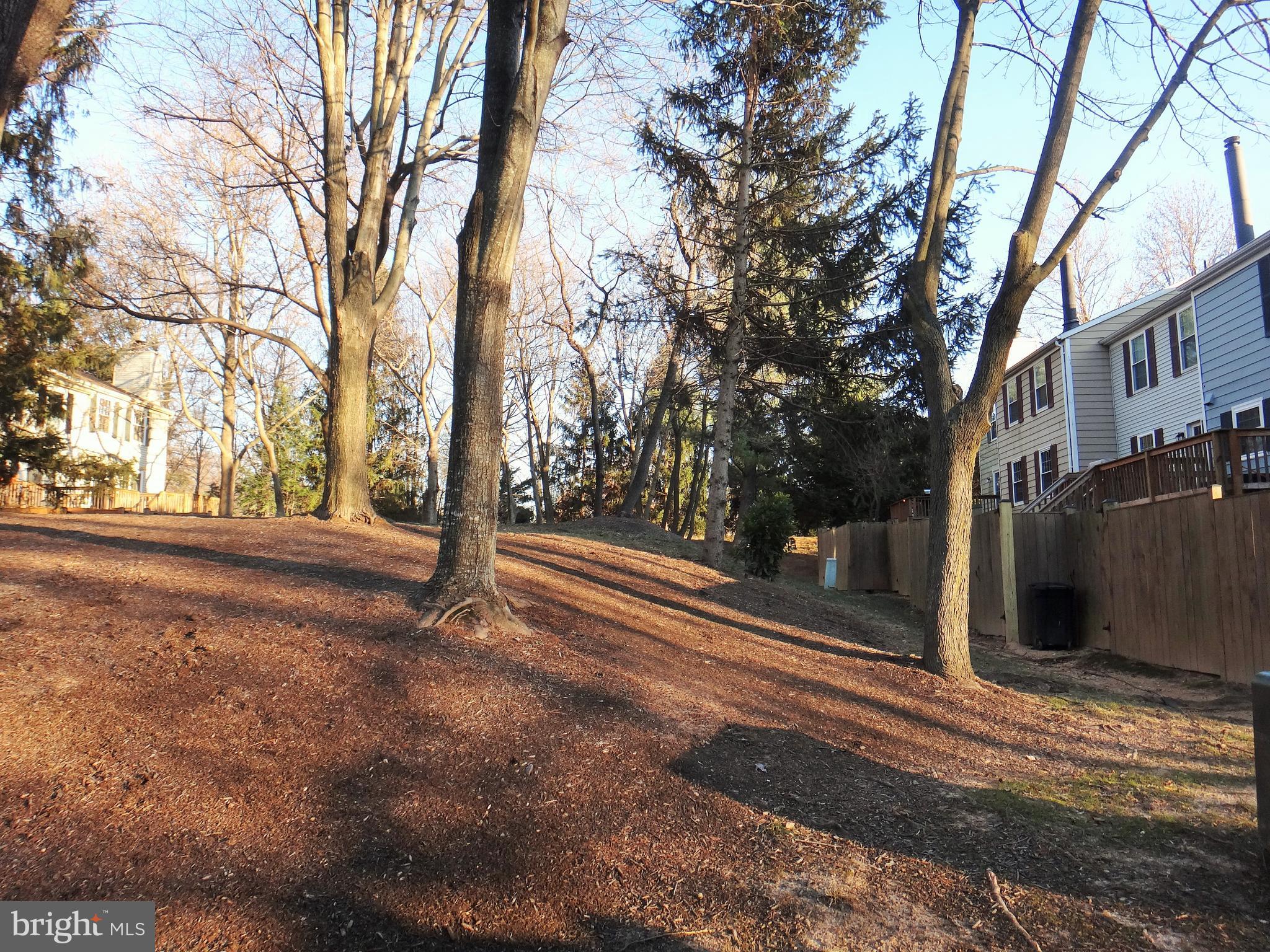1675 Bayfield Way Reston, VA 20194 - Photo 26 of 42