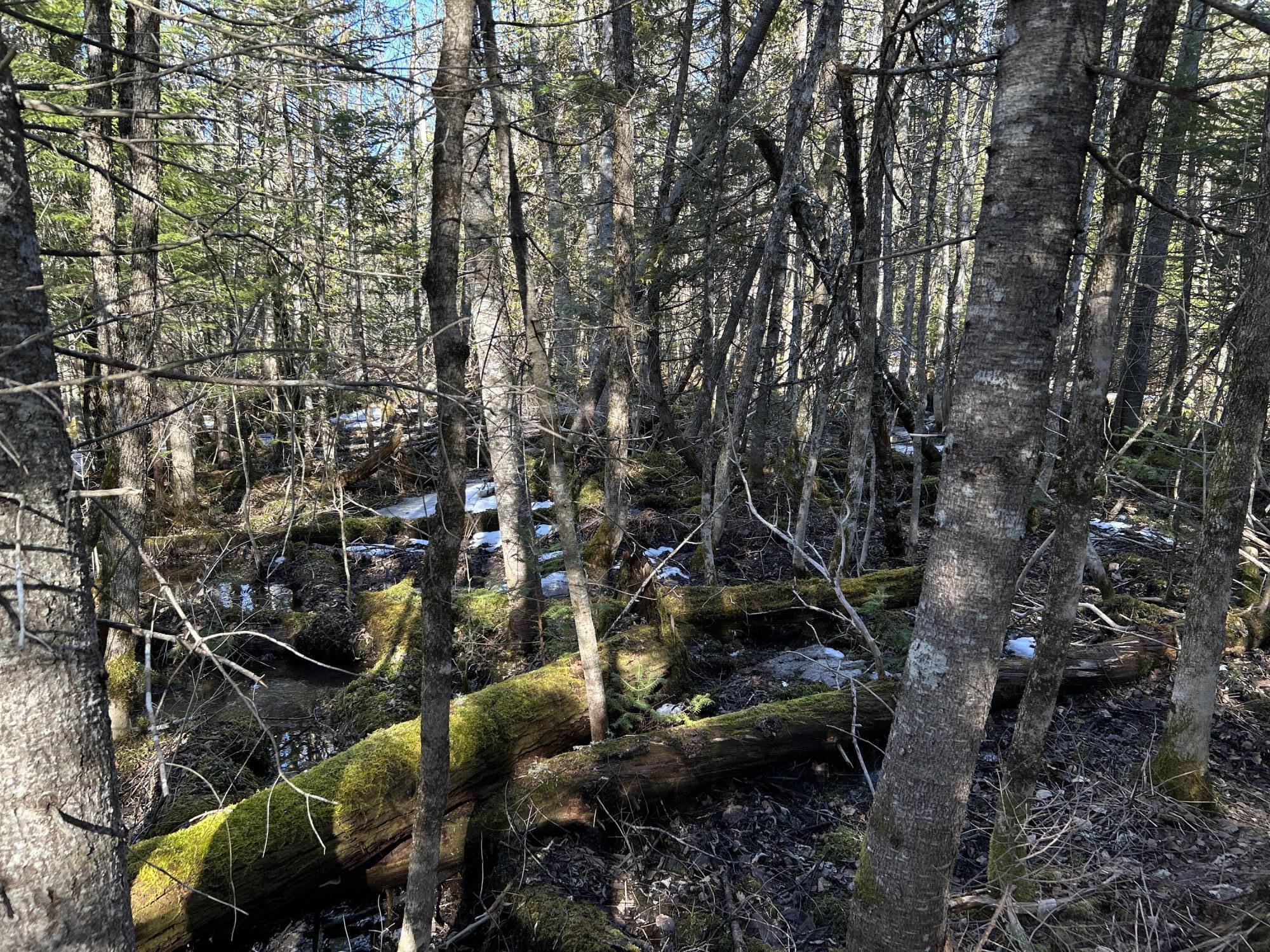 Map5-lot1 Silvers Mills Road Sangerville, ME 04479 - Photo 31 of 33