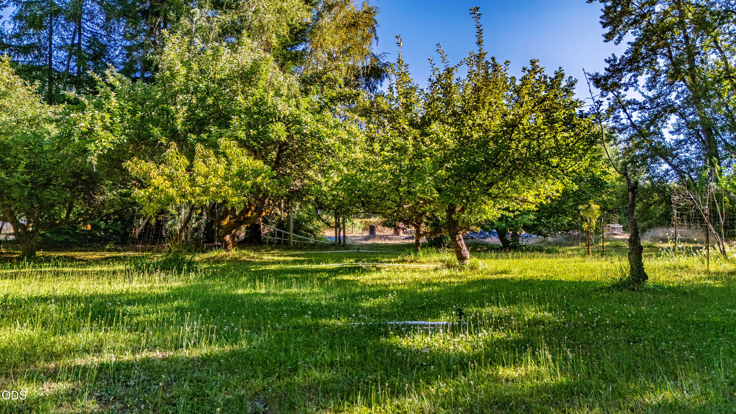 2211 Dick George Road Cave Junction, OR 97523 - Photo 52 of 60