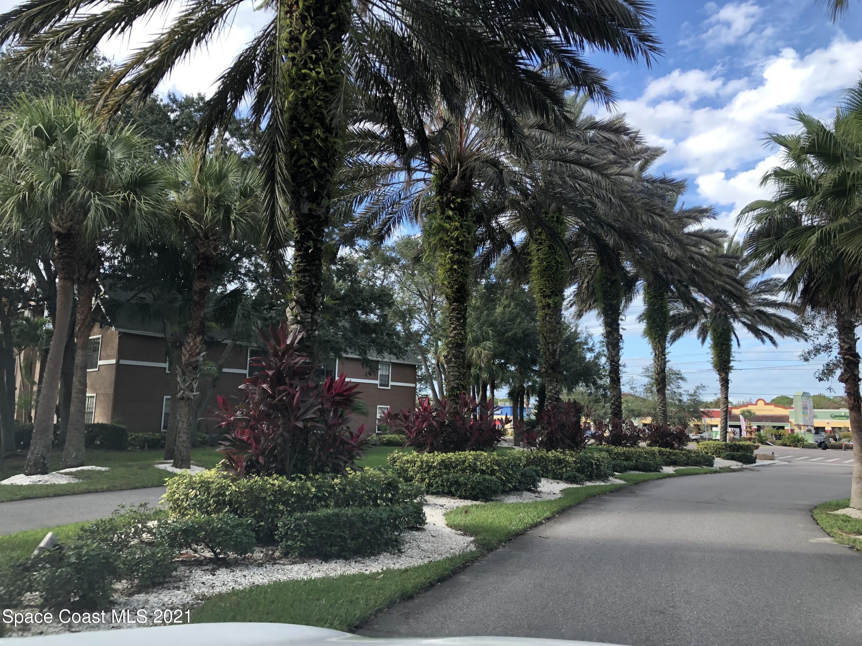 7667 North Wickham Road, Unit 1309 Melbourne, FL 32940 - Photo 3 of 18 a view of road with trees