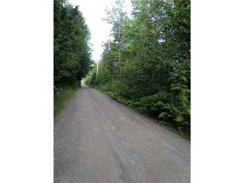 0 Rabbit Path Corinth, ME 04427 - Photo 3 of 11 Land/Lot. power roadside