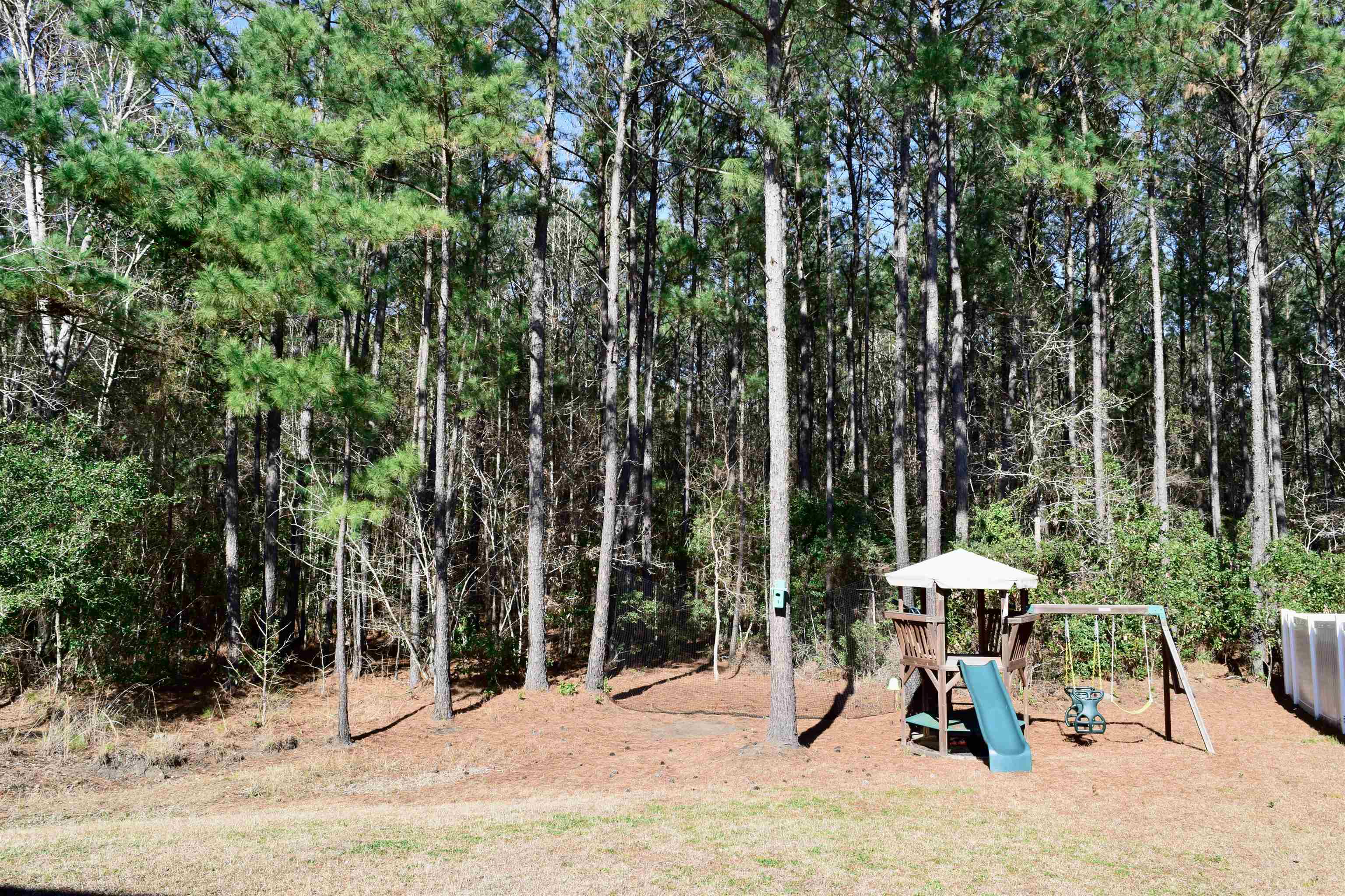 372 Emery Oak Drive Murrells Inlet, SC 29576 - Photo 39 of 43