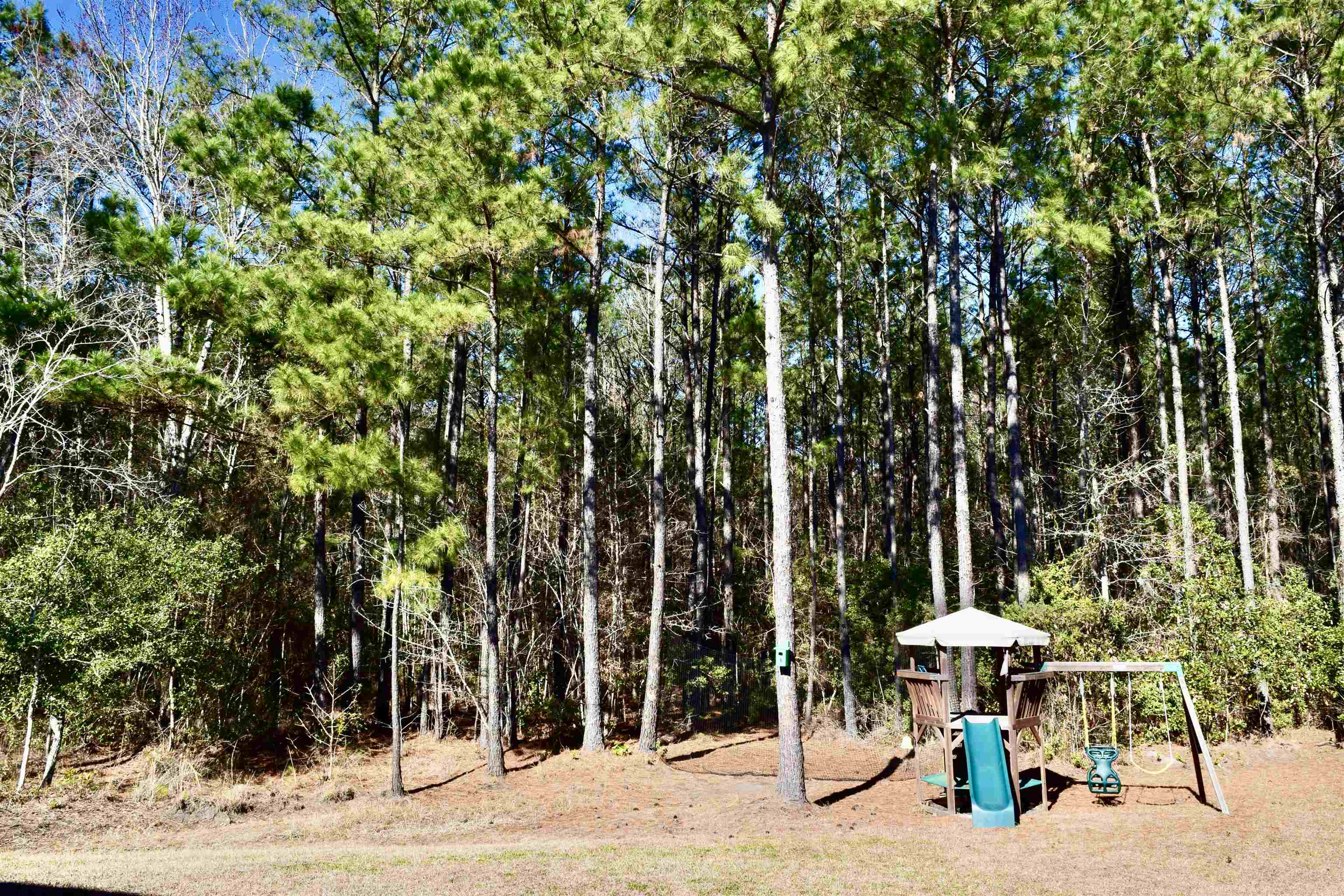 372 Emery Oak Drive Murrells Inlet, SC 29576 - Photo 42 of 43