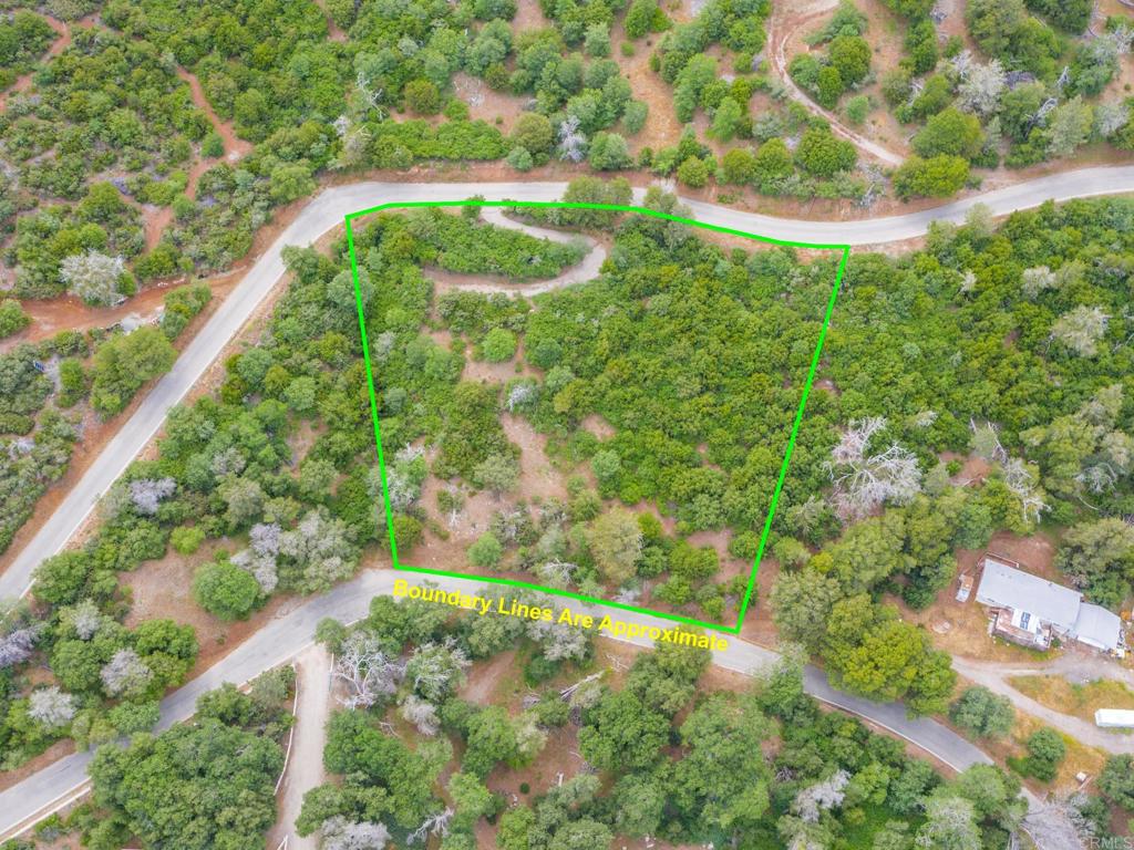 a view of a garden with a lake