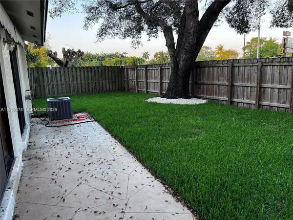 a view of a backyard with plants and large tree