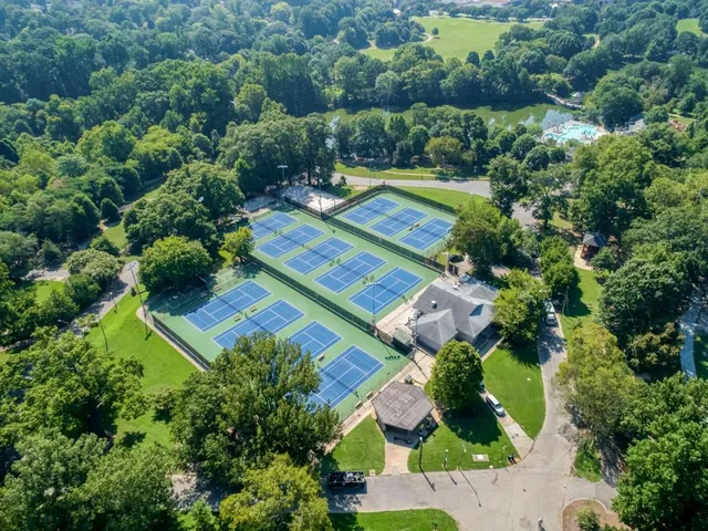 a view of a park with large trees