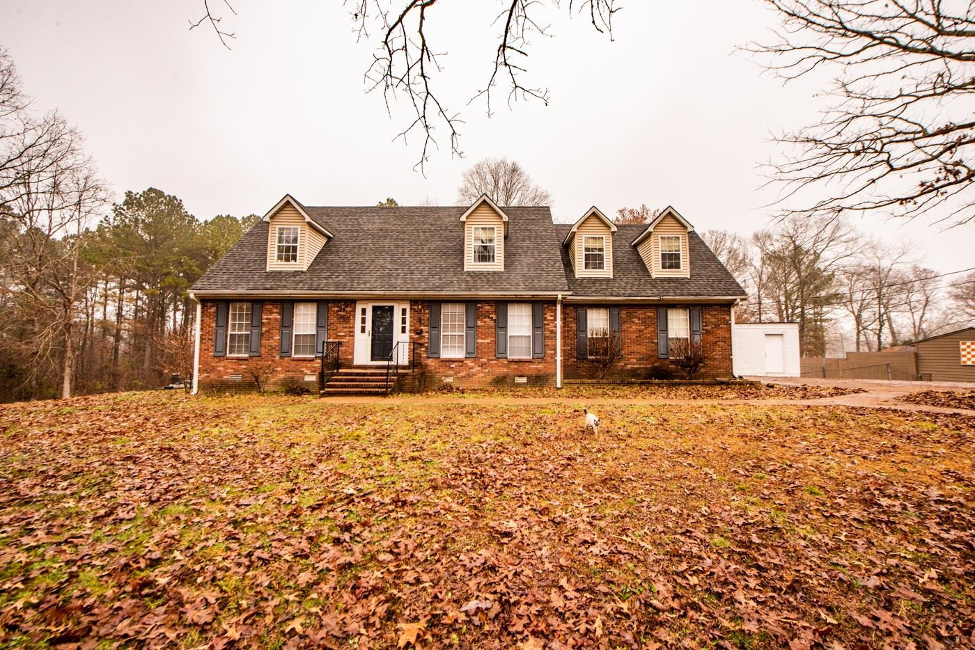 300 Taylor Bailey Road Lexington, TN 38351 - Photo 1 of 24 Photo 1