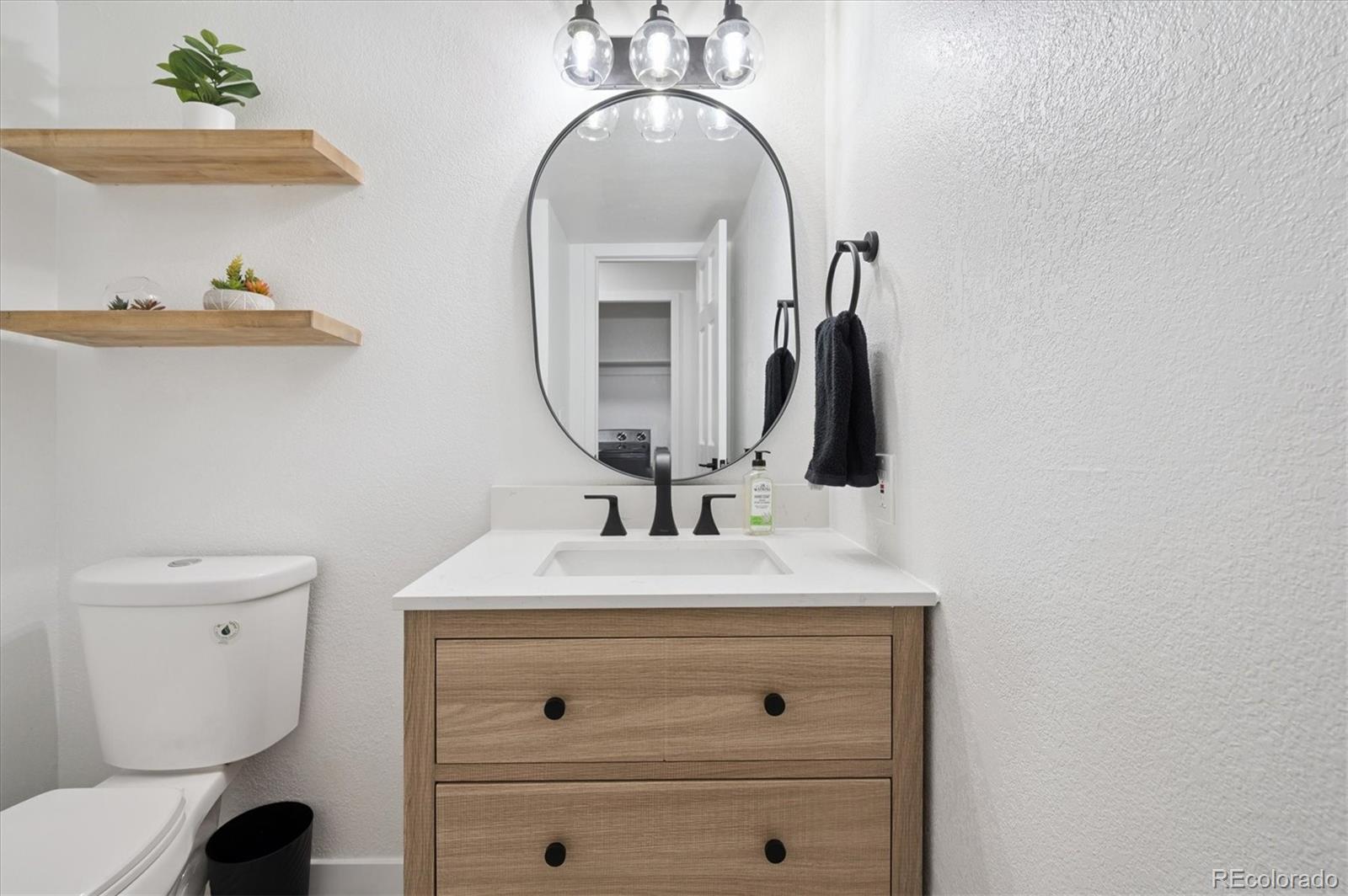 10040 Poudre Court Lone Tree, CO 80124 - Photo 18 of 48