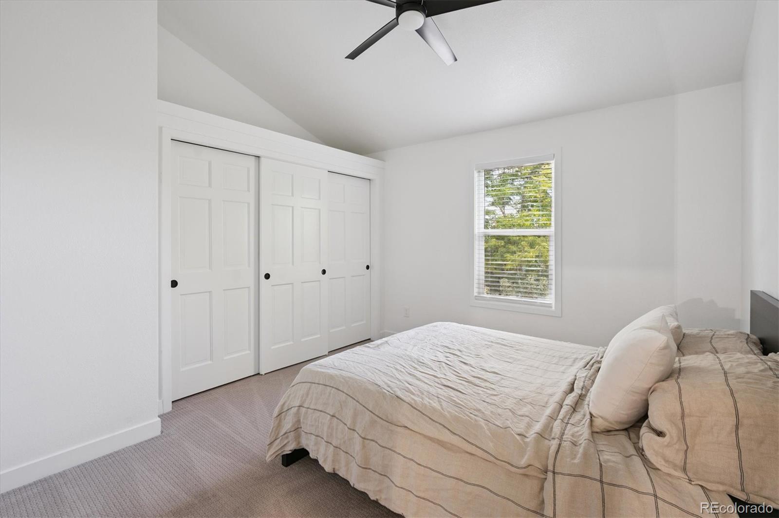 10040 Poudre Court Lone Tree, CO 80124 - Photo 21 of 48