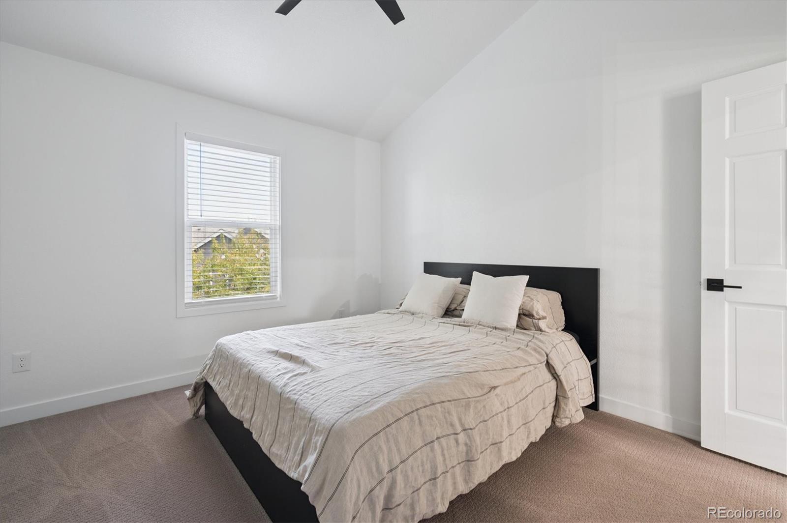 10040 Poudre Court Lone Tree, CO 80124 - Photo 22 of 48