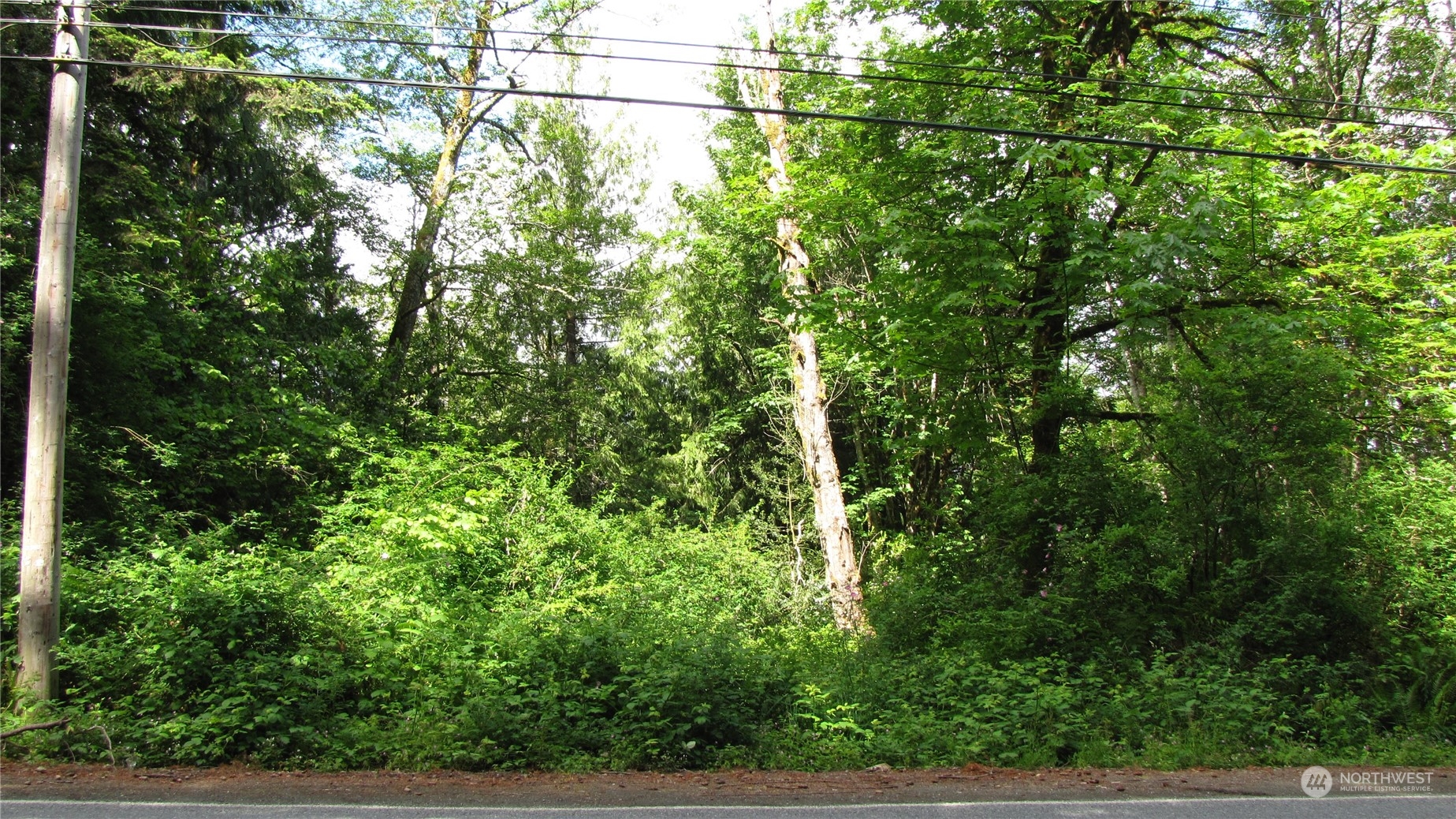 3344 Anderson Hill Road Southwest Port Orchard, WA 98367 - Photo 2 of 7 Gallery Image 2