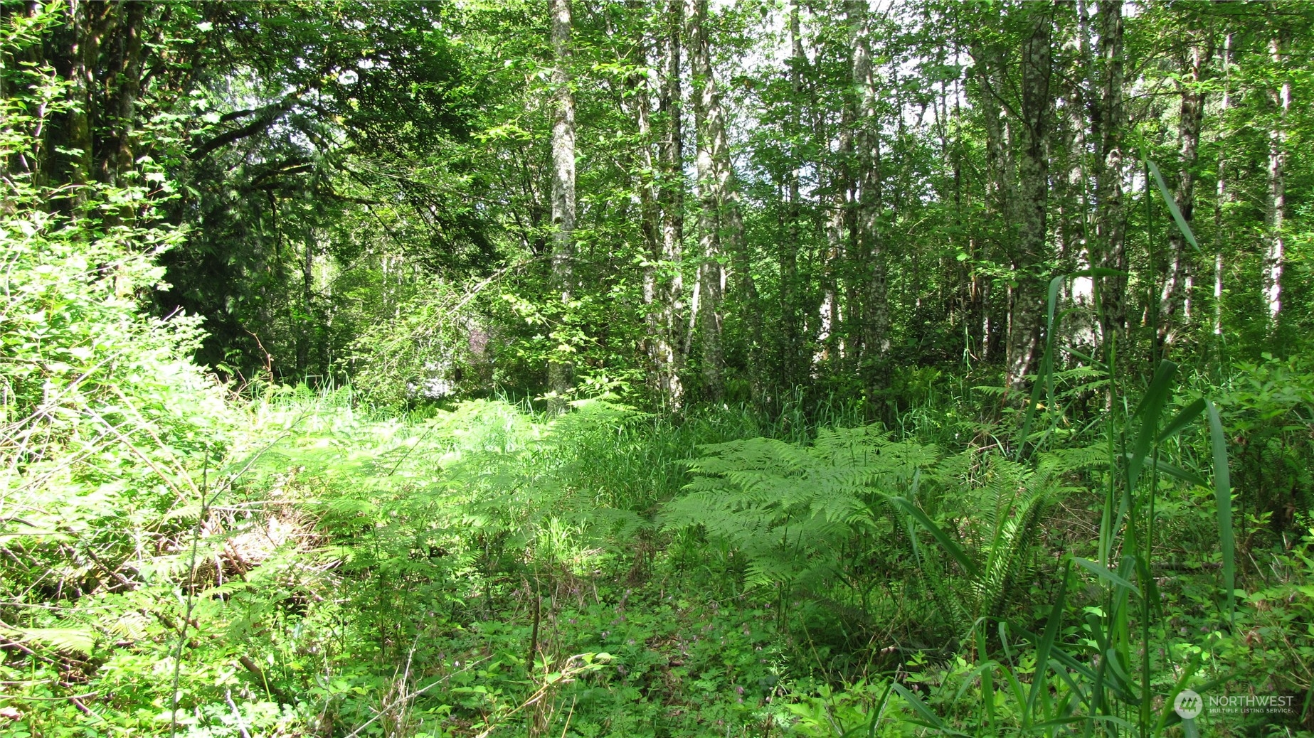 3344 Anderson Hill Road Southwest Port Orchard, WA 98367 - Photo 4 of 7 Gallery Image 4