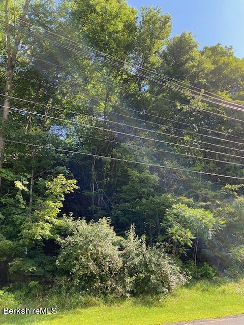 0 River Road Monroe, MA 01350 - Photo 5 of 6 land from road