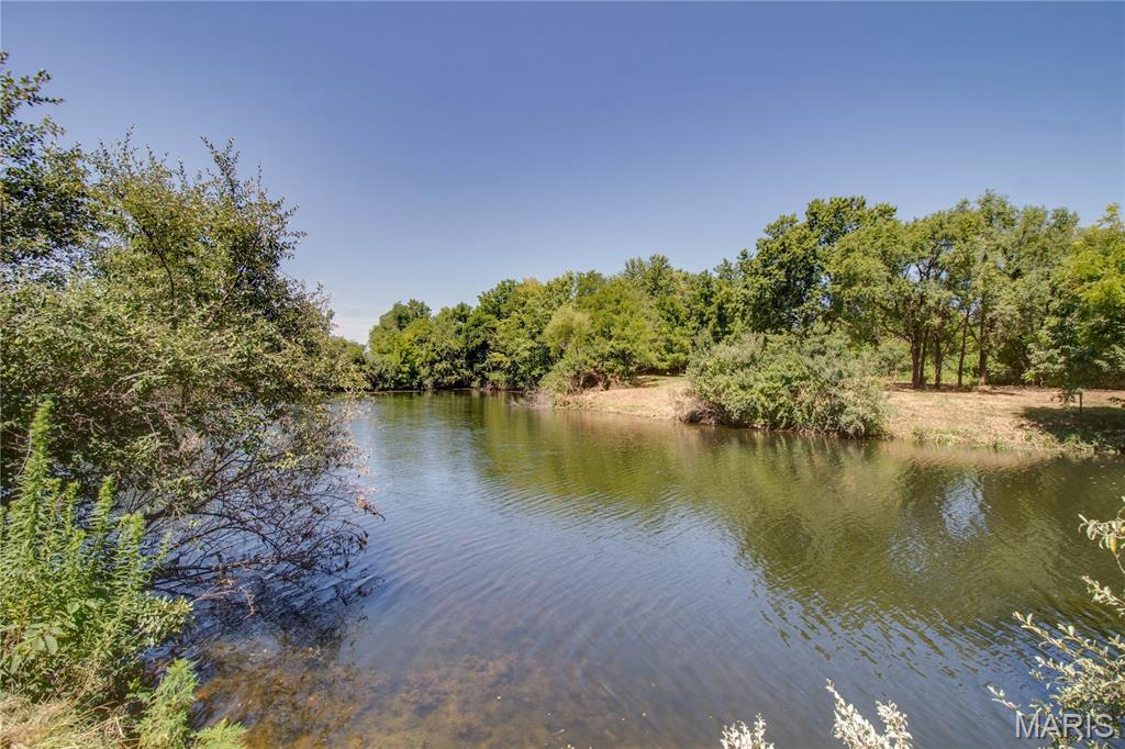 9368 Rhea Park Road Loami, IL 62661 - Photo 44 of 54
