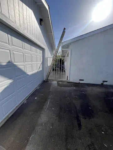 a view of a backyard with plants and trees