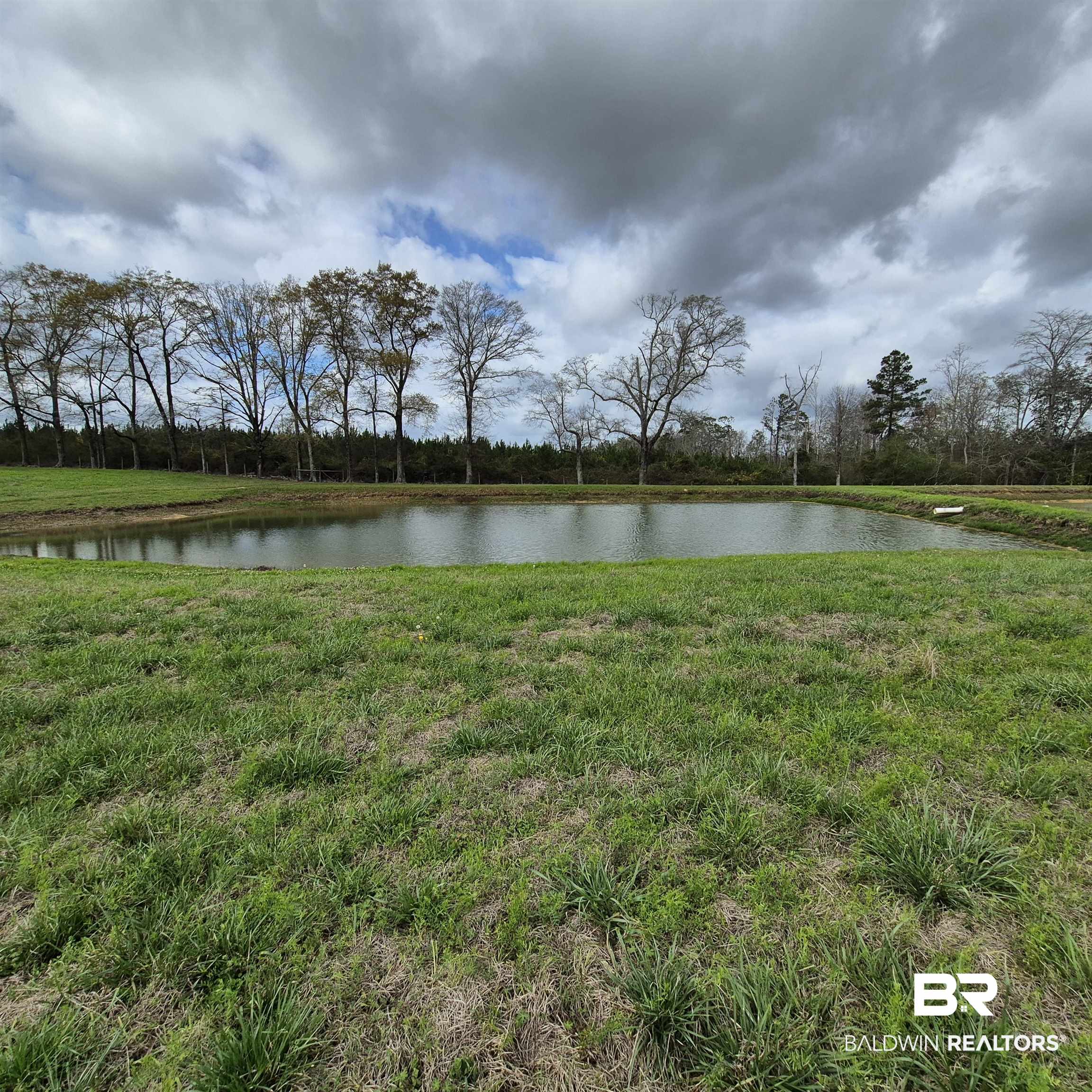 26635 Highway 41 Range, AL 36473 - Photo 57 of 74 Water view
