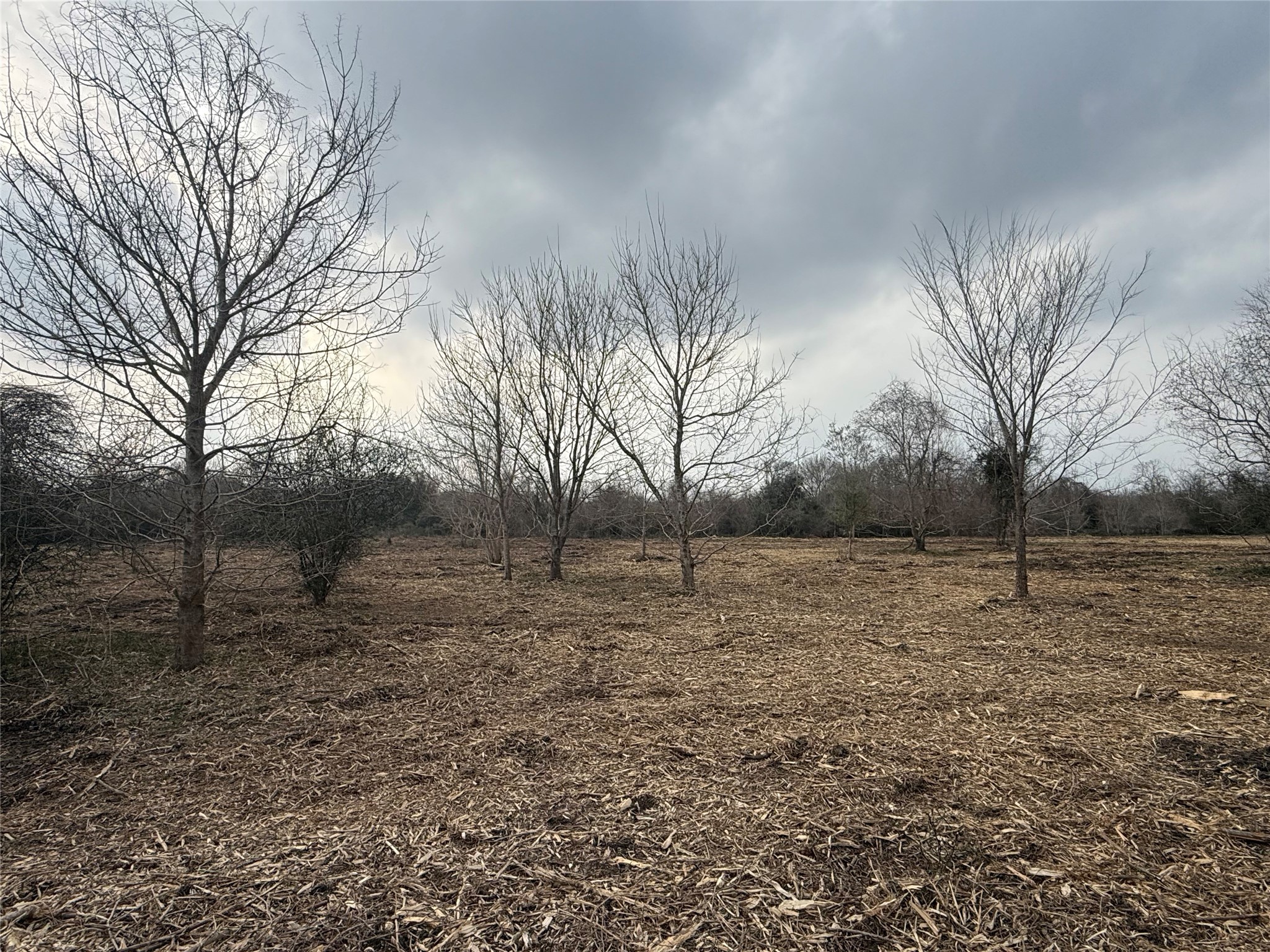 Lot 10 County Road 30 Angleton, TX 77515 - Photo 5 of 9