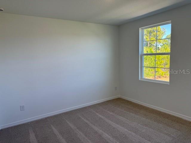17727 Sharp Pummelo Alley Winter Garden, FL 34787 - Photo 11 of 19 an empty room with a window