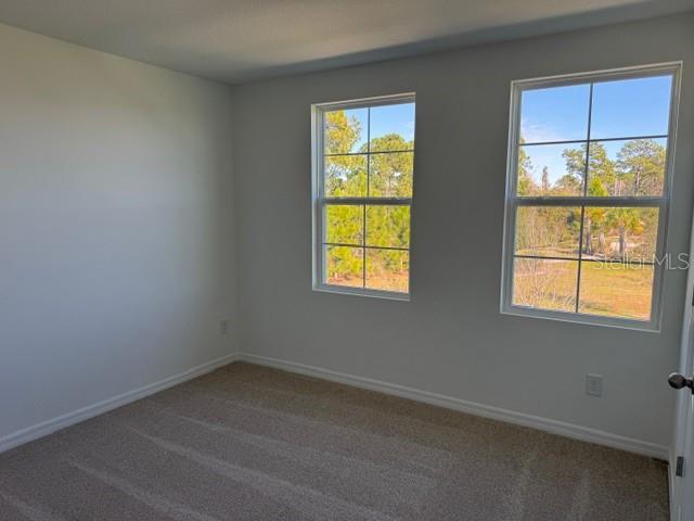 17727 Sharp Pummelo Alley Winter Garden, FL 34787 - Photo 8 of 19 an empty room with a window