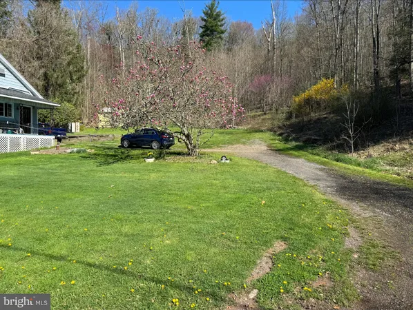 a view of a backyard with large trees