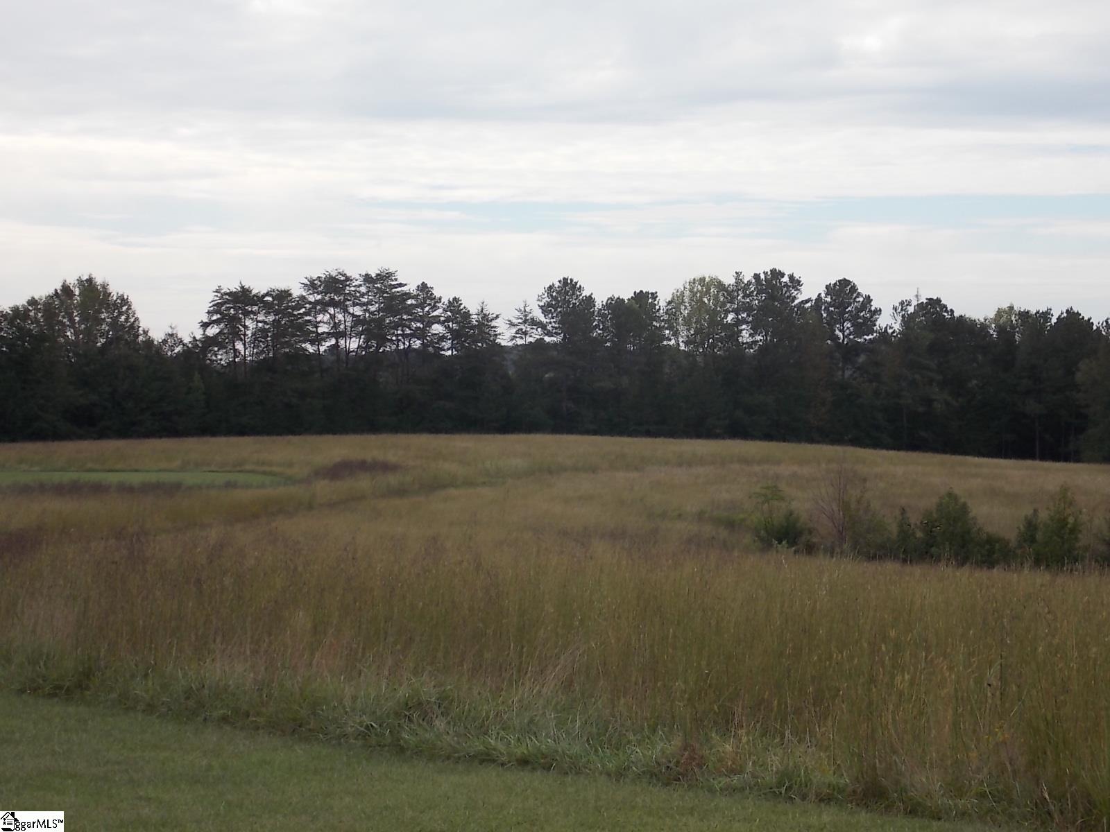 802 Lockaby Road Williamston, SC 29697 - Photo 1 of 5 Gallery Image 1