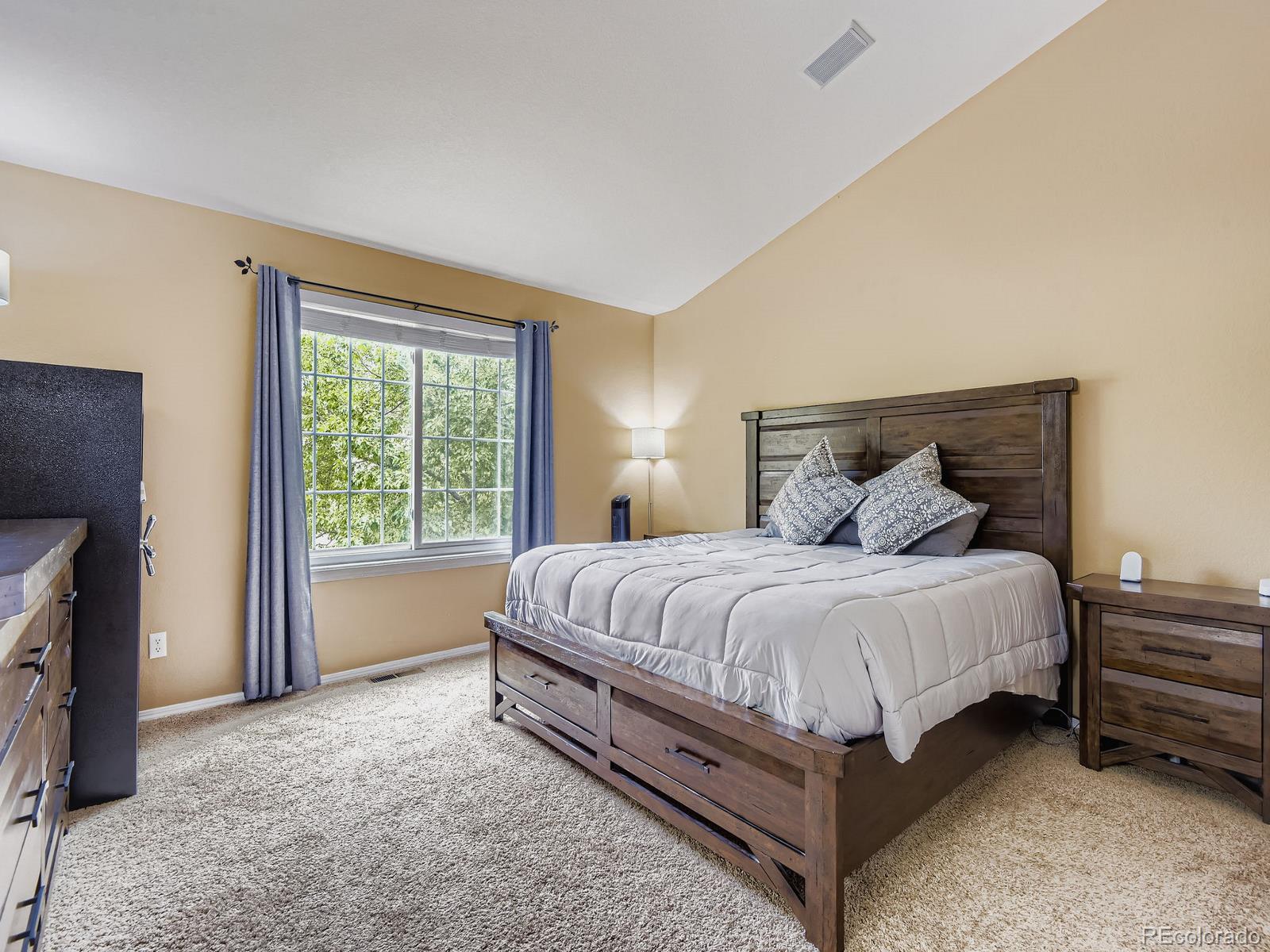 9750 Red Oakes Drive Highlands Ranch, CO 80126 - Photo 14 of 32