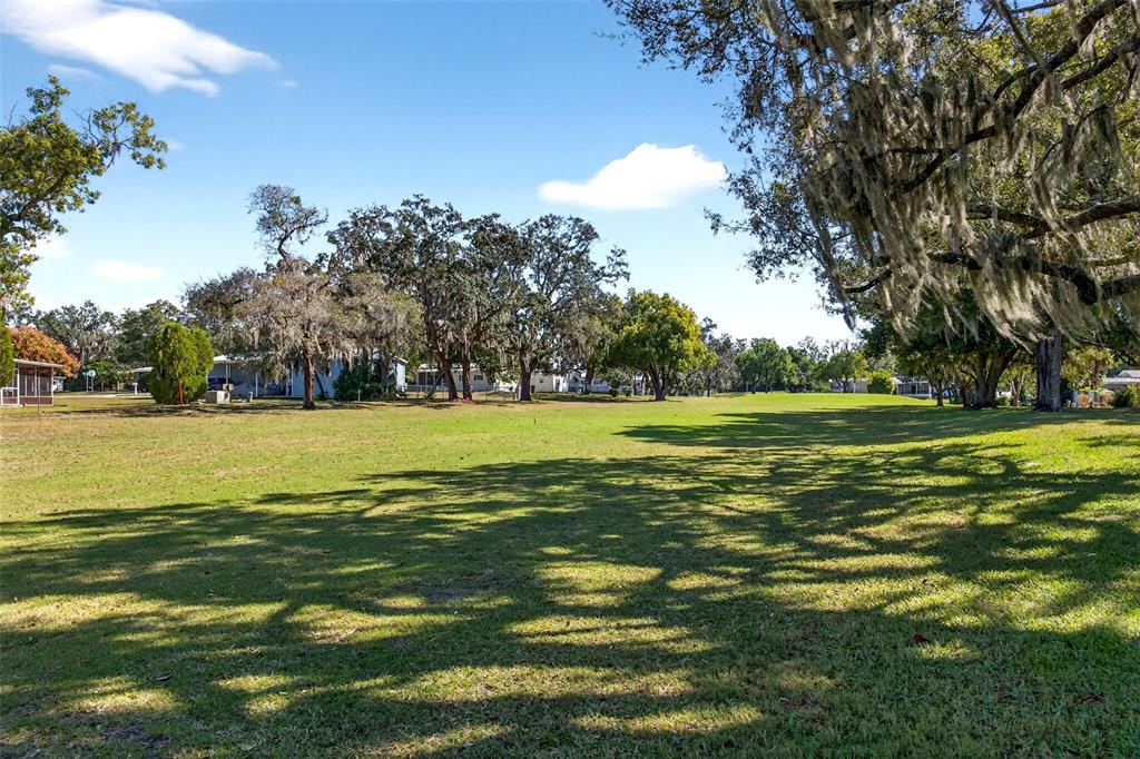 8046 Highpoint Boulevard Brooksville, FL 34613 - Photo 38 of 47 a view of a big yard with large trees