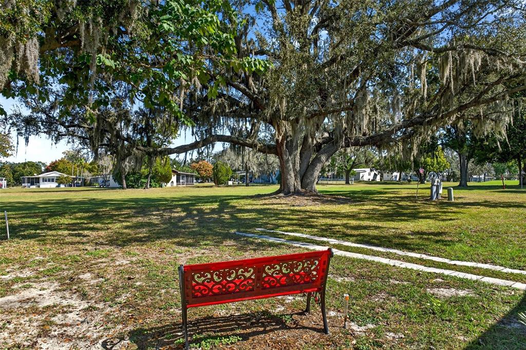 8046 Highpoint Boulevard Brooksville, FL 34613 - Photo 40 of 47 a view of a park that has large trees